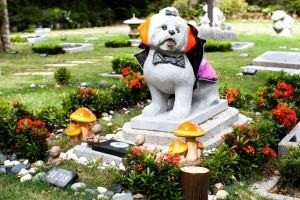 Pet Memorial Garden - Nirvana Funeral Service